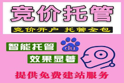 百度推广托管的成功之路：从零到一的突破
